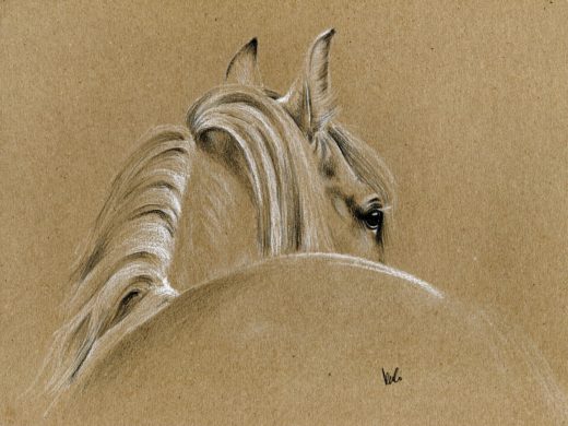 Rysunek siwego konia na papierze ekologicznym.