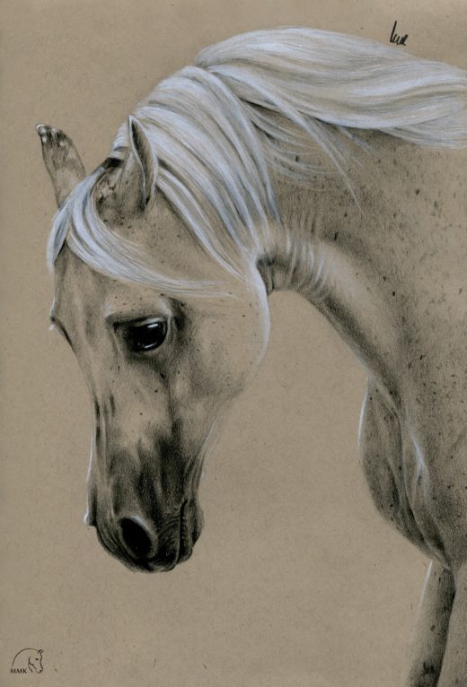 Najlepsze Rysunki Koni W Sieci Magdalena Muraszko Kowalska